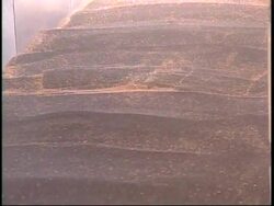 Warnings that biofuels could be harmful to the environment News Clip