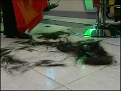 Hairdressers collect hair to mop up oil  spill News Clip