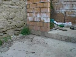 snake! Stock Footage