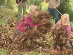 Little Girls Stock Footage