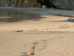 Beach close-up, waves splashing Stock Footage
