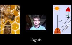 Information Exchange Instructional Video