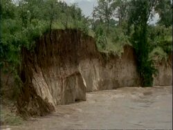 MS River swollen from flood water, flowing through rocky valley, Trees above rocks, Mana Pools, Zimbabwe Stock Footage