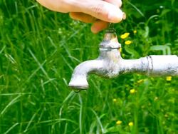 Fresh water Stock Footage