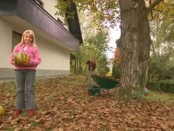 Autumn Time Stock Footage