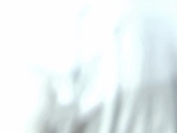 Concert goers wearing cowboy hats News Clip