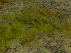 ORGANIC MATTER : close-up, black back (TRANSITION) Stock Footage