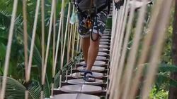 Walking on rope bridge Stock Footage