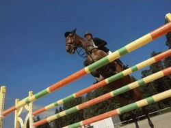 HD Super Slow-Mo: Show Hunter Jumps Over Oxer Stock Footage