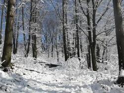 Windblown snow after a storm Stock Footage