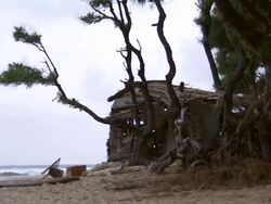 MS Desert island shelter on wild beach on overcast morning / Inhambane, Mozambique Stock Footage