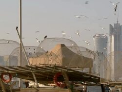 WS PAN View of Modern buildings in Doha and birds flying around / Doha, Qatar  Stock Footage