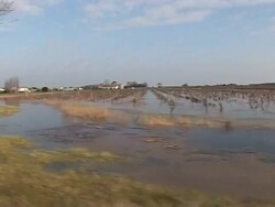 VOICED: Farmers assess fields devastated in deadly storm News Clip