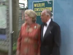 The Wildlife Conservation Society Safari! India Gala Stock Footage