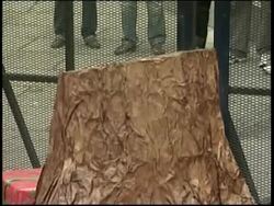 Greenpeace activist dressed as Santa protests outside Congress News Clip