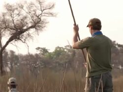 MS TS TU TD Men on small canoe push through small water canal lined with tall grass / ghanzi district, ghanzi district, botswana Stock Footage