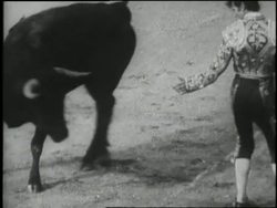 A large audience claps and cheers as a matador fights a bull. News Clip