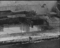 FROZEN ASSETS! News Clip