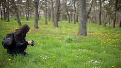 women with dslr camera Stock Footage