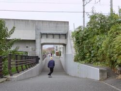 WS Shot of Skateboarder passing away / Kawagoe, Tokyo, Japan Stock Footage