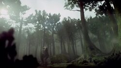 A Tyrannosaurus rex stalks an Ankylosaurus in a forest in a computer-generated animation. Stock Footage
