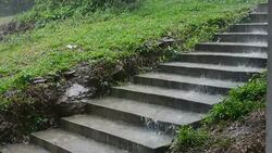 Raindrop Stock Footage