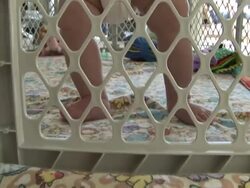 Safety and Protection - Baby Standing in Pen, Tilt Up Stock Footage