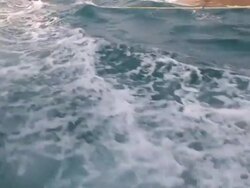 CU POV Shot of Dolphins swim in wash off trawler amongst net / Northern Territory, Australia Stock Footage