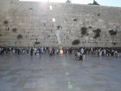 Western Wall in Jerusalem Stock Footage