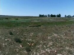 Pan across barren grassy landscape, Namaqualand, South Africa Stock Footage