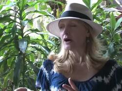 INTERVIEW Patricia Clarkson on how acting is all about character and difference between theatre and film acting at the Cairo Time: Aruba International Film Festival at Aruba . (Footage by WireImage Video/GettyImages) Stock Footage