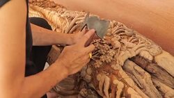 Hand of carver carving wood Stock Footage