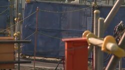 VOICED: Japan community fights nuclear plant plan News Clip