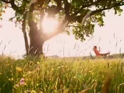 Young girl swinging on a tree swing Stock Footage
