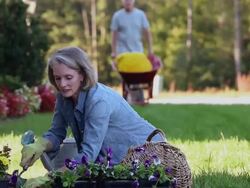 MS TU PAN Senior couple planting flowers in front yard of home / Richmond, Virginia, United Sates Stock Footage