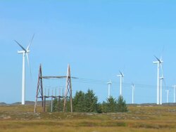 Wind Turbines and power lines Stock Footage