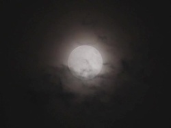 Full Moon Clouds Stock Footage