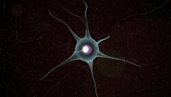 Neuron emitting infinit signals Stock Footage