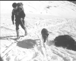 HELICOPTER RESCUE News Clip