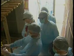 Summit delegates on bird flu fact finding mission Instructional Video