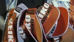 CLEAN : Keiko Fujimori wins through to runoff in Peru vote News Clip