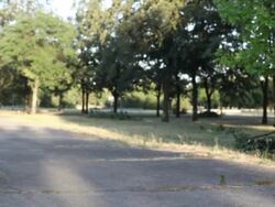 HD: Young Man Pushing His Girlfriends wheelchair and talking. Stock Footage