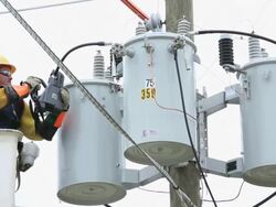 MS LA PAN Men in Saftey Gear Attaching Power Line to Transformer Box / Oyster, Virginia, USA Stock Footage