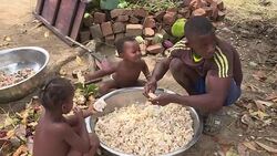 VOICED : Madagascar's world class cocoa a bitter sweet cash crop News Clip