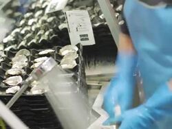 CU T/L Shot of Sydney Fishmarkets / Sydney, Pyrmont New South Wales, Australia Stock Footage