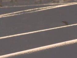 Wind blowing across icy landscape, Dartmoor, UK Stock Footage