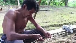Middle-aged-Kichwa-Indian weaves basket in traditional manner of indigenous inhabitants of autonomous region of Sarayaku in Ecuadorian Amazon Stock Footage