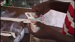 Haitians prepare for presidential election Instructional Video