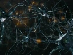 Neuron cells, synapse. Cold colors. Stock Footage