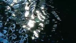 clean water Stock Footage